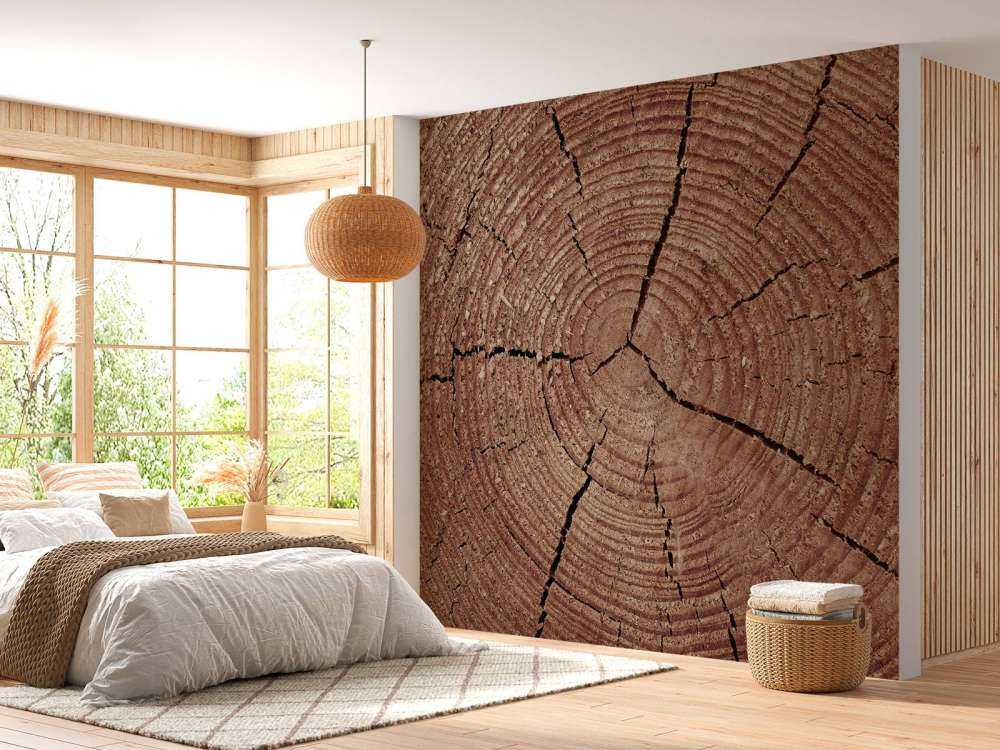 Trunk with annual rings