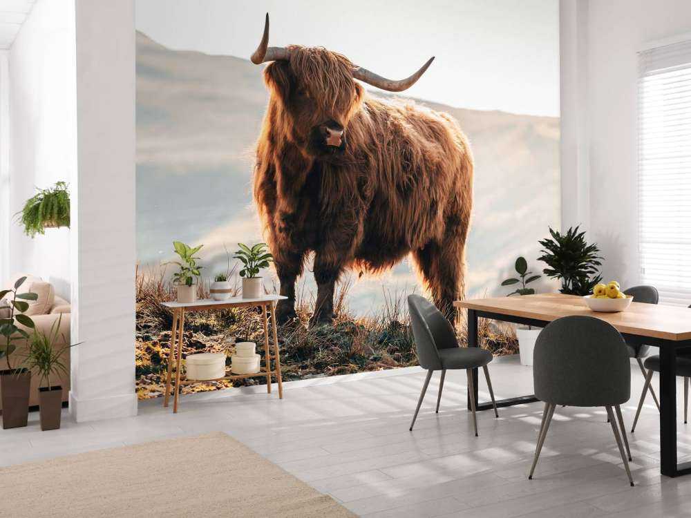 Scottish highlander on a hill