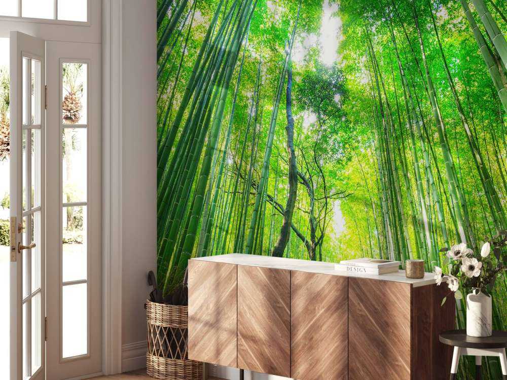 Bamboo forest of Arashiyama