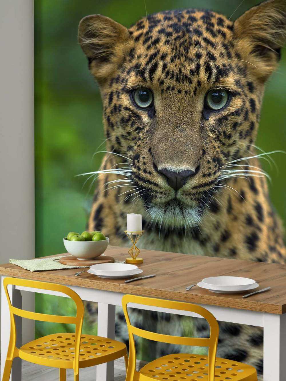 Concentrated leopard