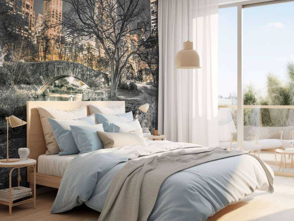 Central park in the evening