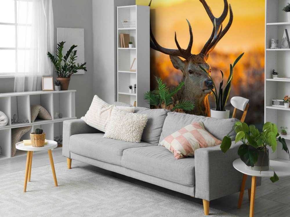 Deer in nature reserve