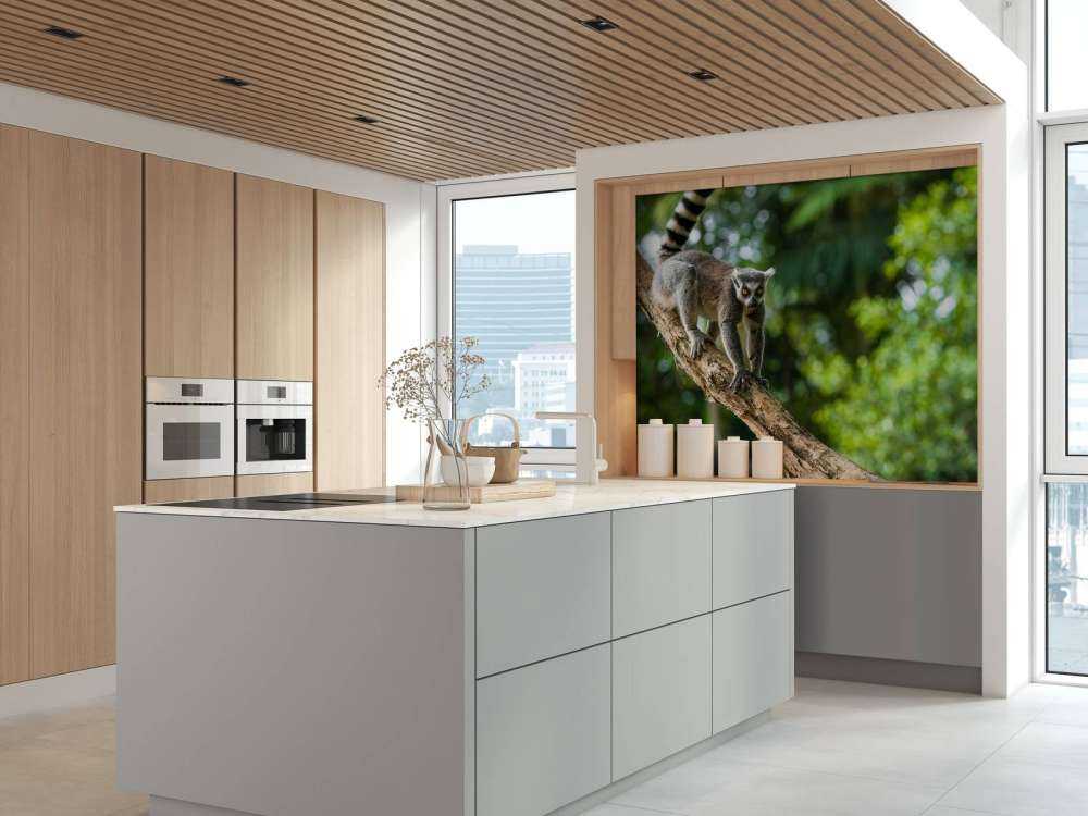 Ring-tailed monkey in a tree