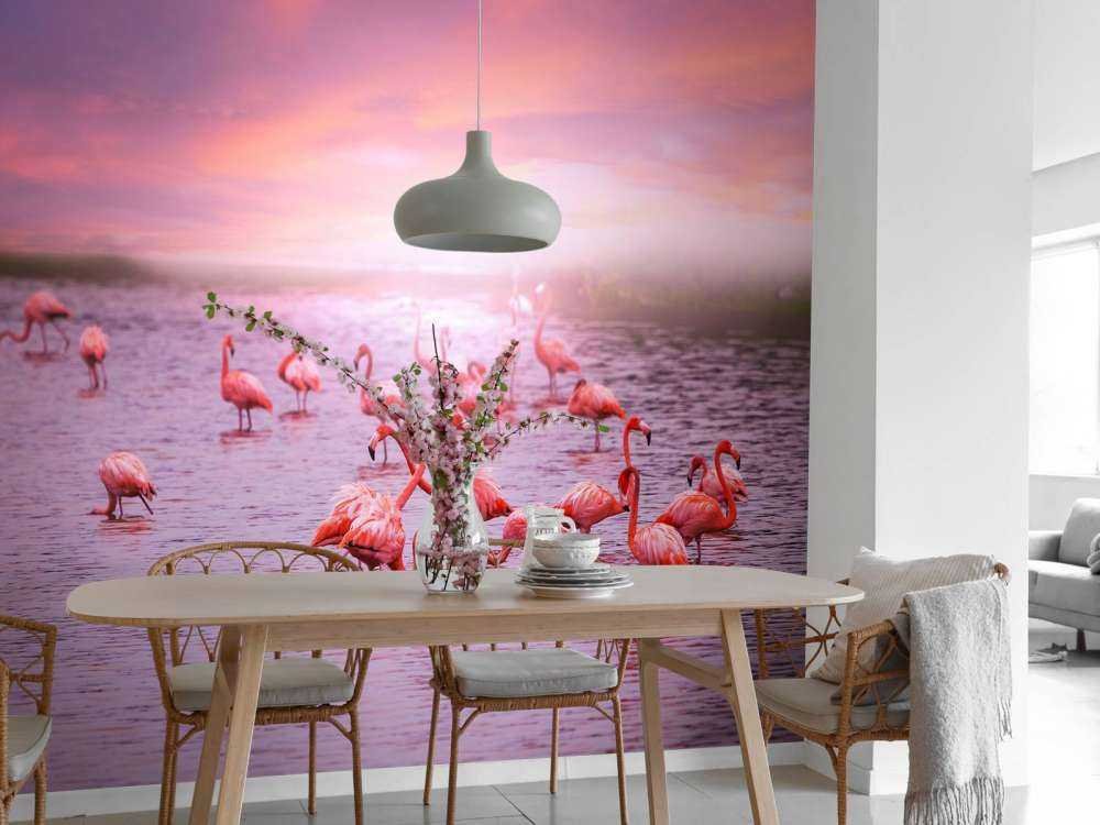 Flamingos with sunset