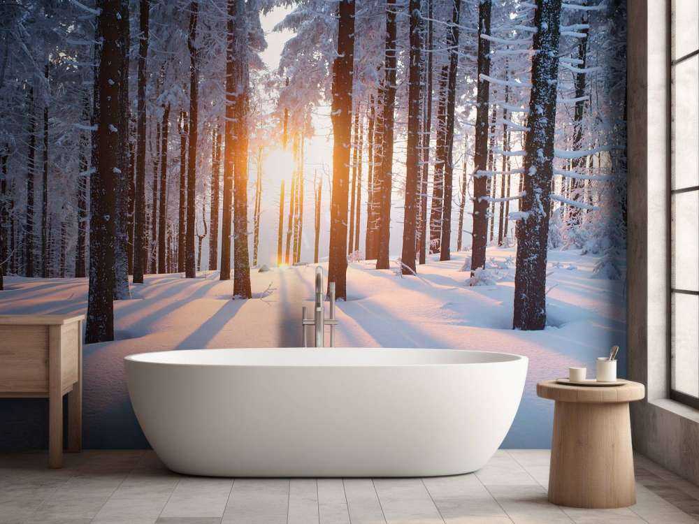 Sunset in a winter forest