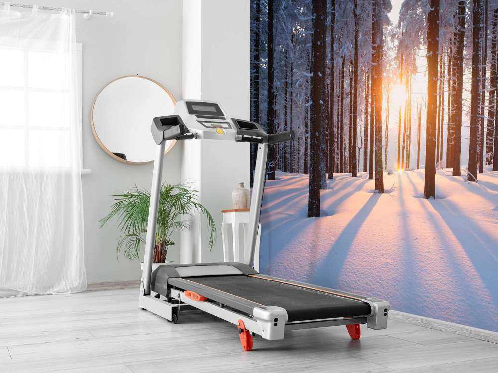 Sunset in a winter forest