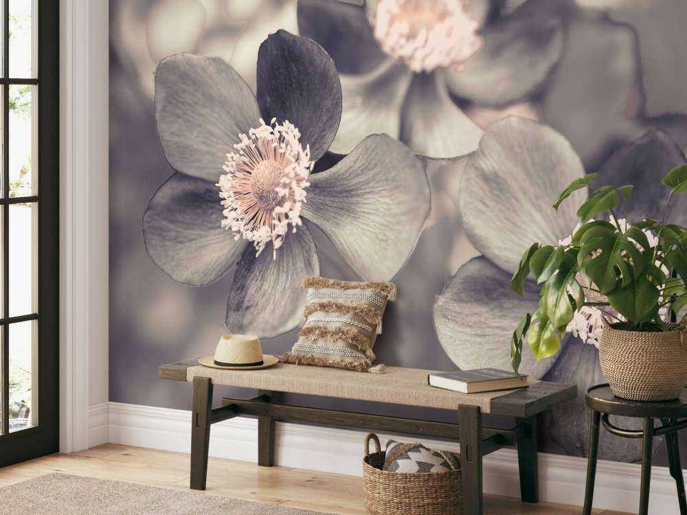 Anemone flower
