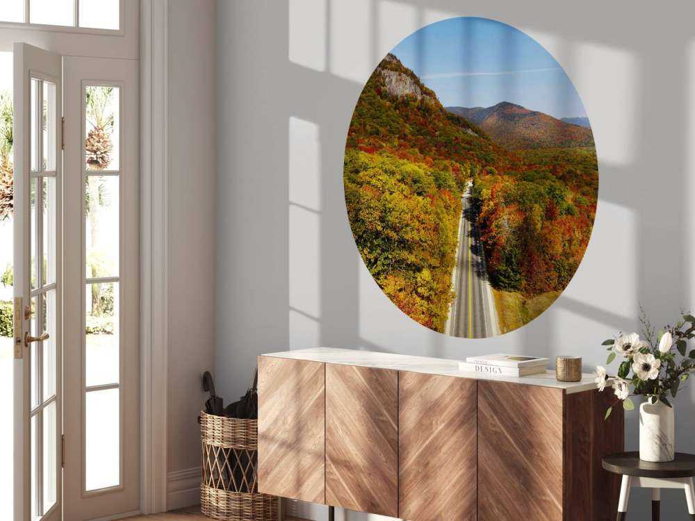 Road through the autumn landscape