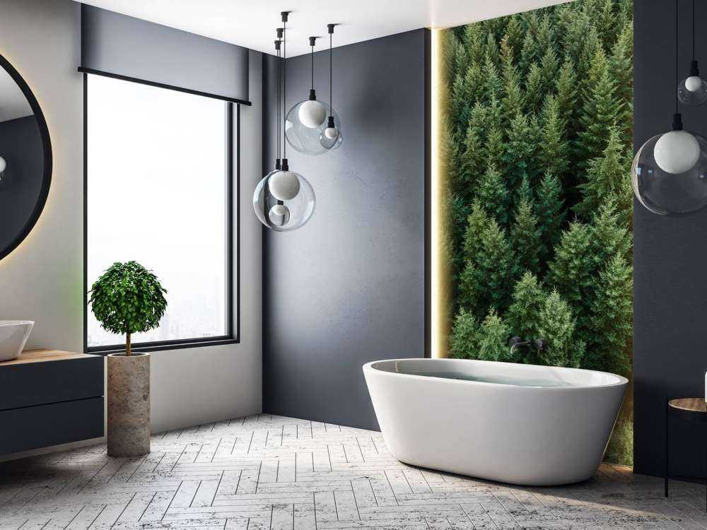 Douglas firs from above