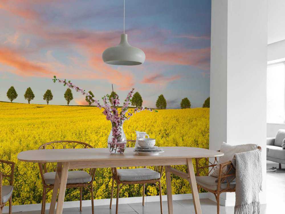 Field full of yellow flowers