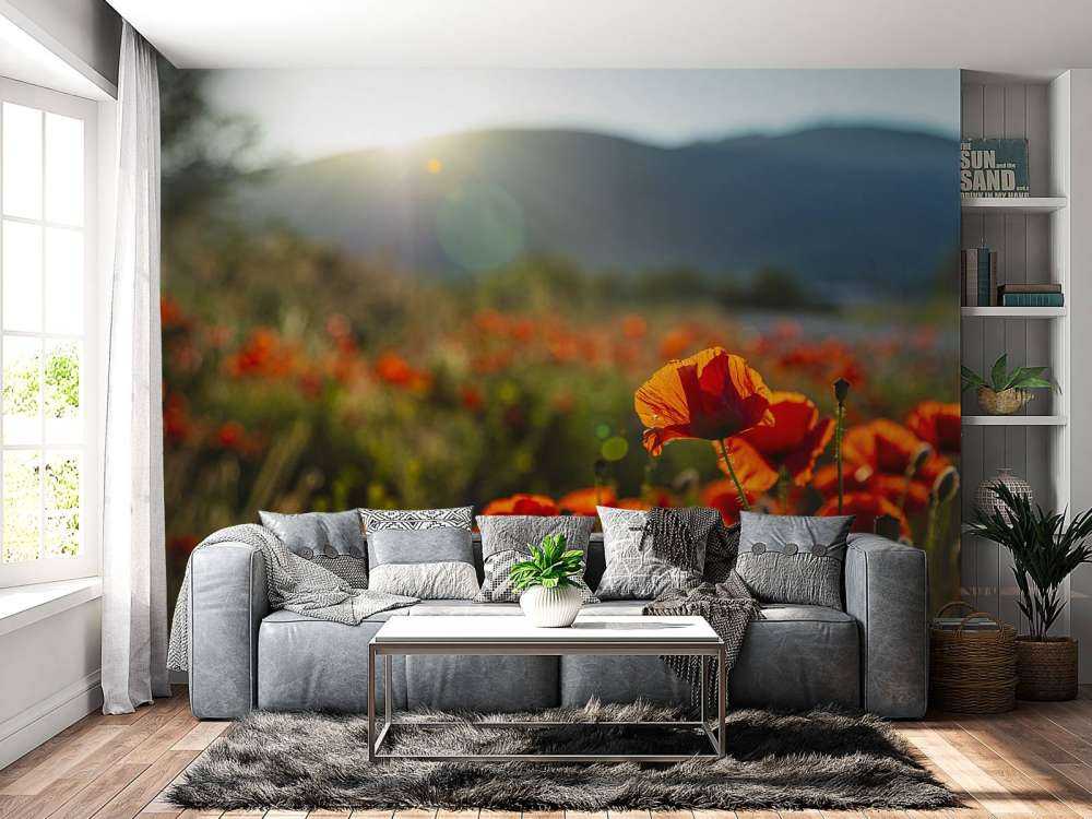 Poppies with sunbeams