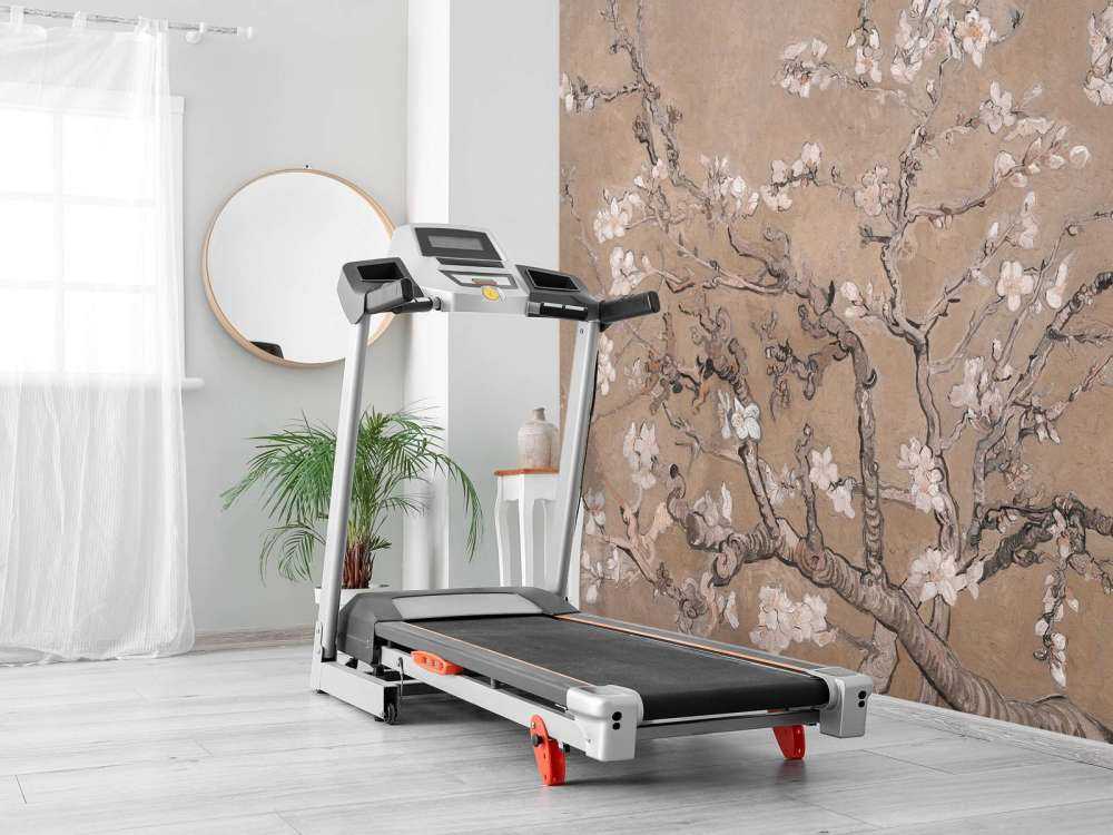 Light-coloured Almond Blossom