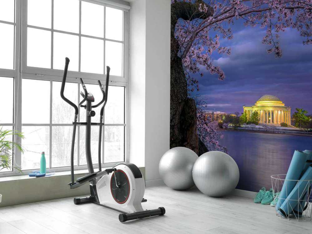 Cherry blossoms around the Jefferson Memorial