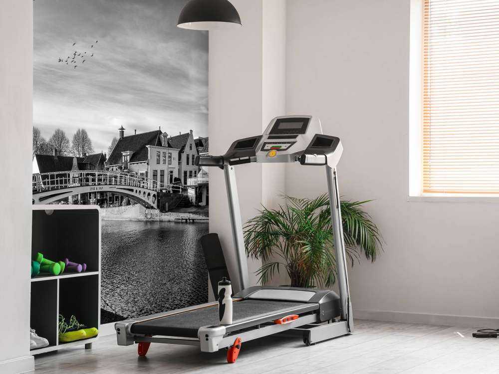 Fortified town Dokkum Bridge over Klein Diep Friesland 