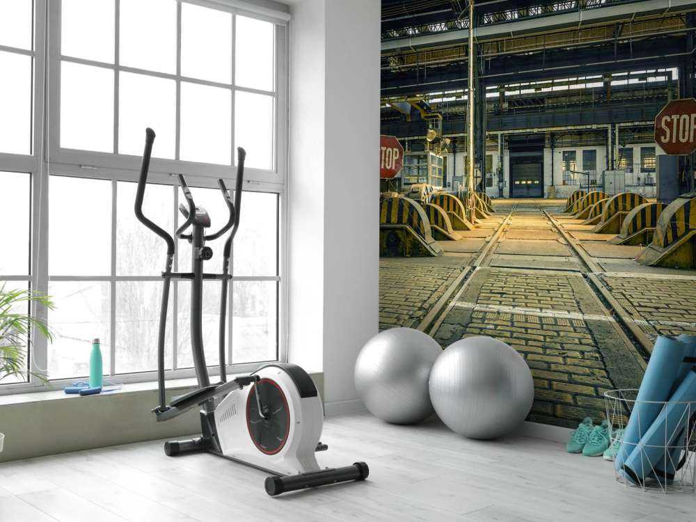 Abandoned industrial hall