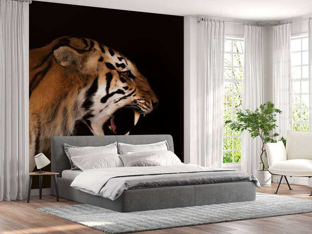 Roaring tiger