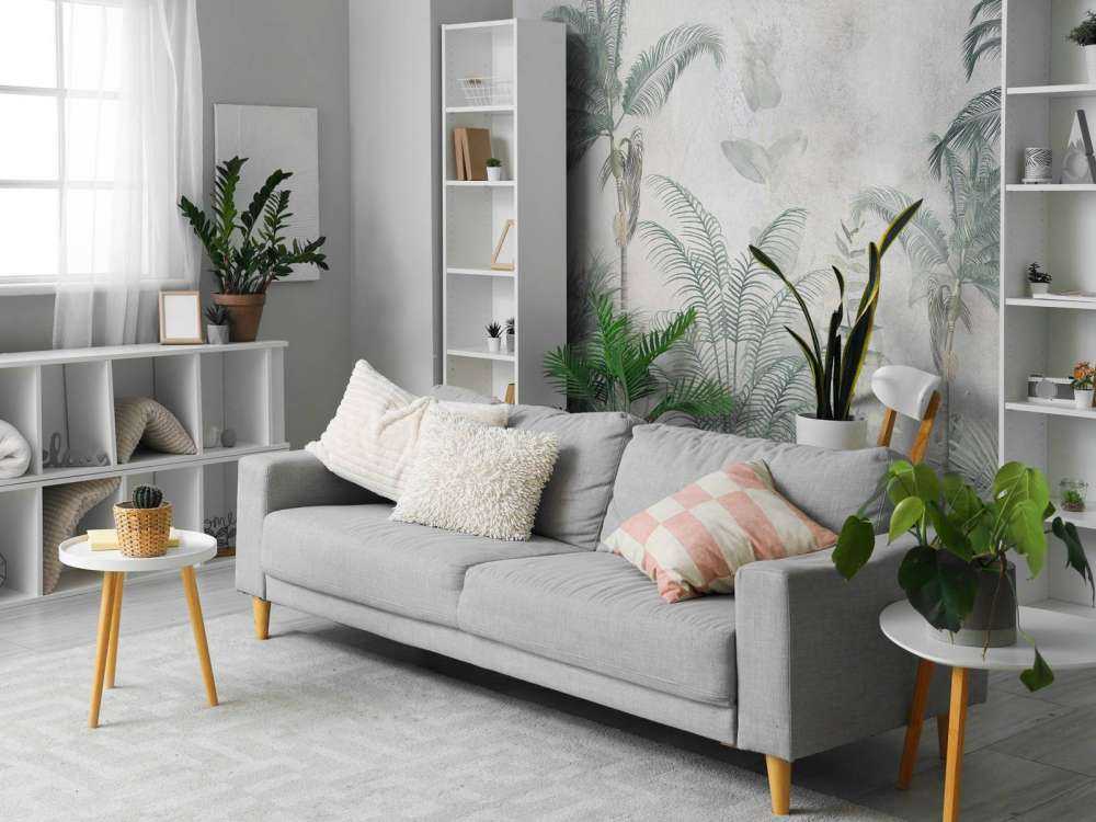 Misty Tropical Paradise