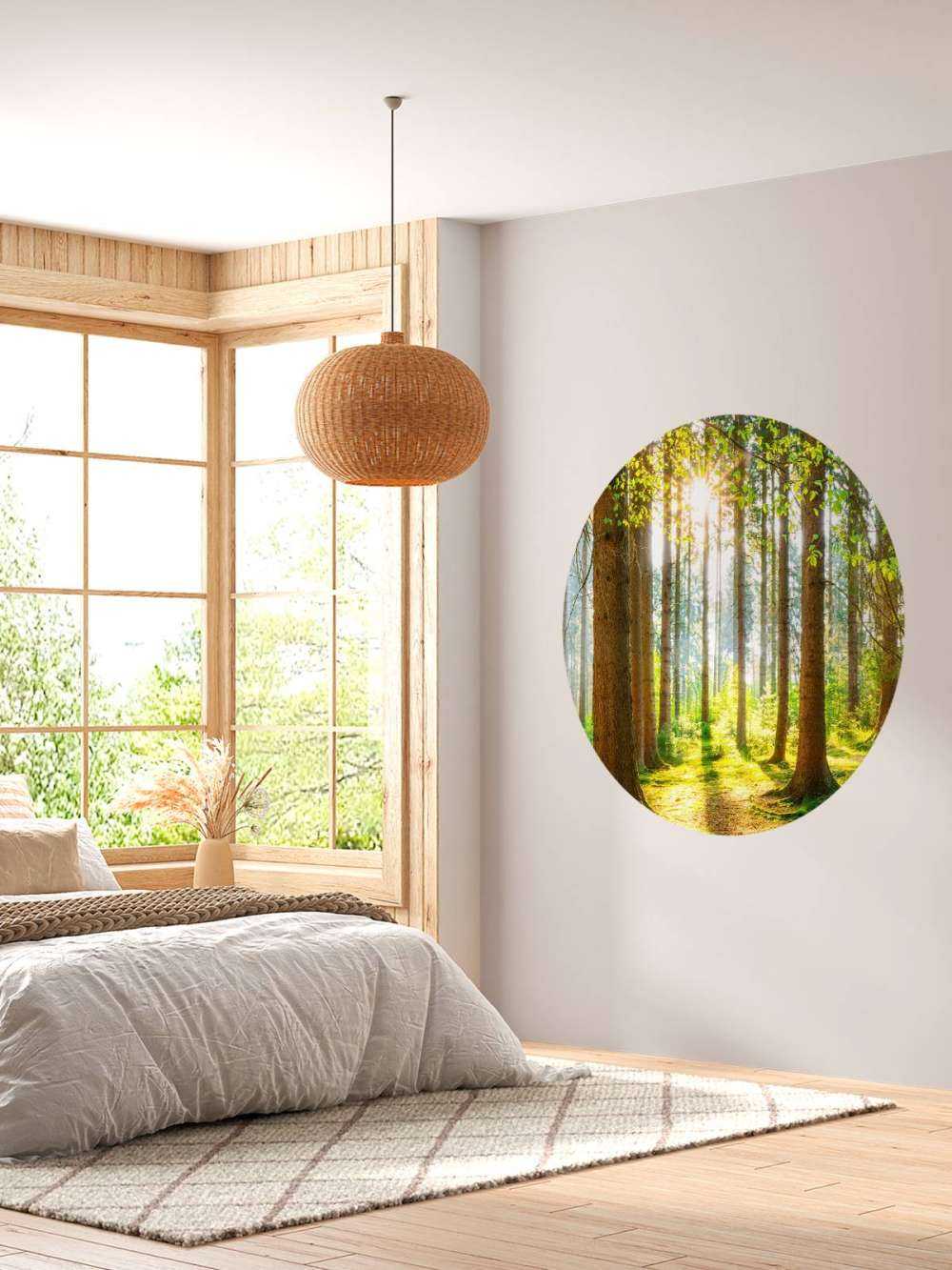 Sunrise in the forest