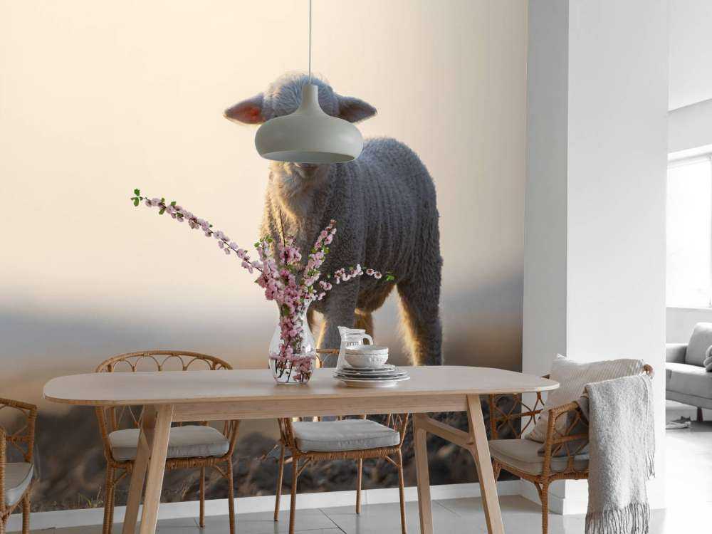 Lamb