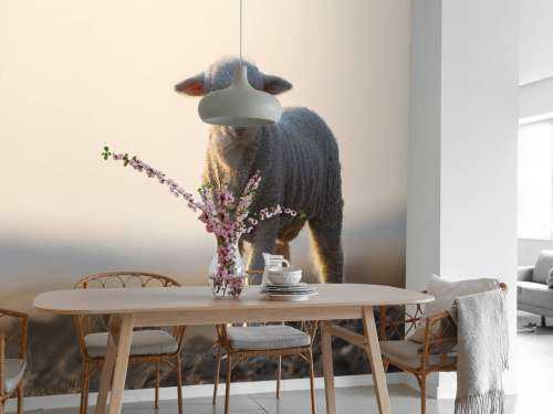 Lamb