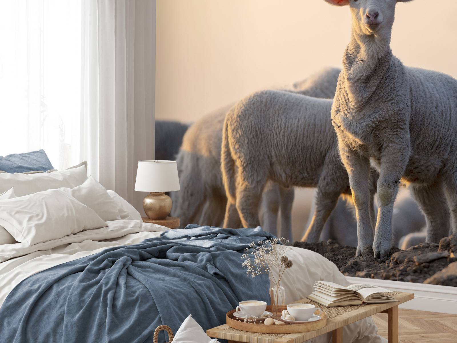Sheep of the world
