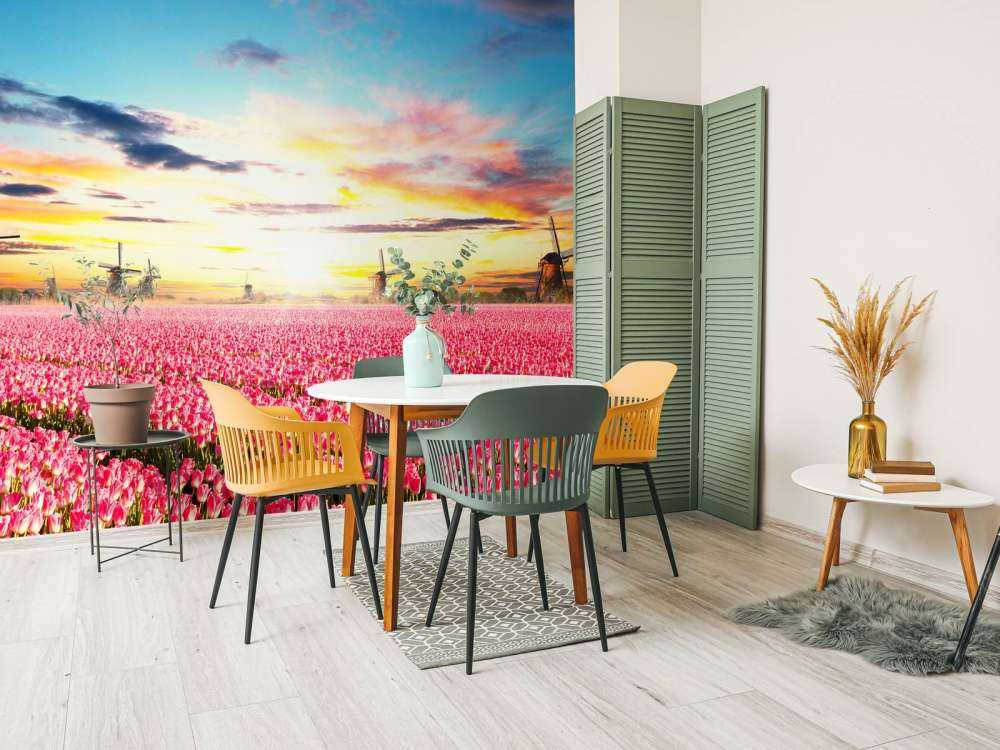 Hollands roze tulpenveld