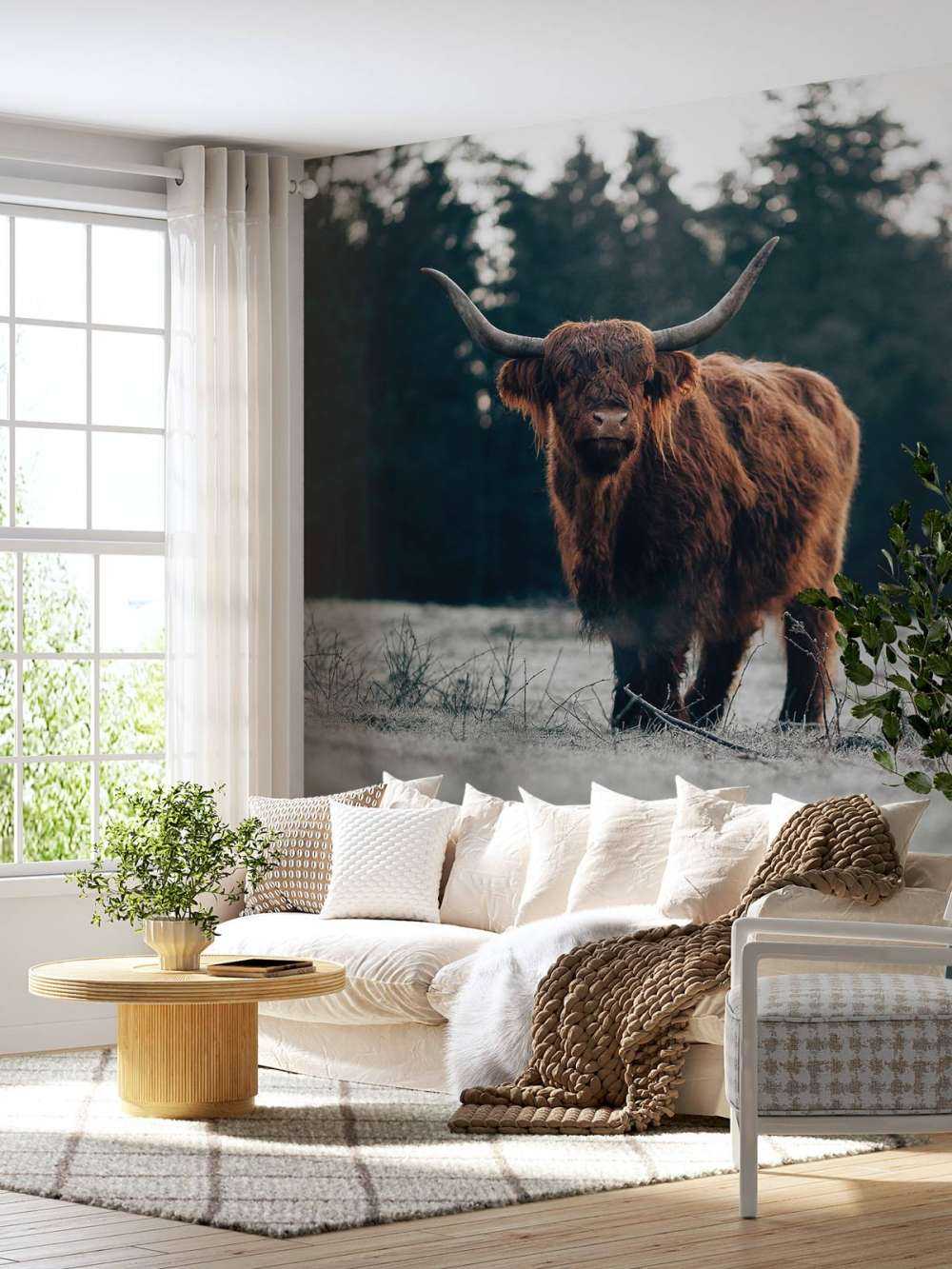Old highlander