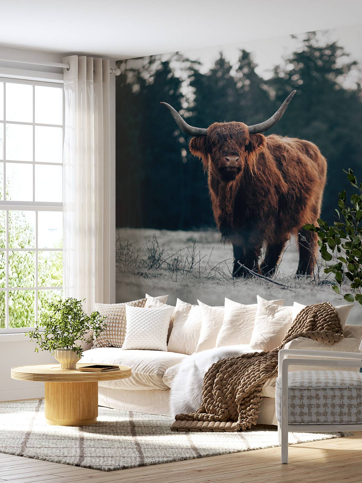 Old highlander