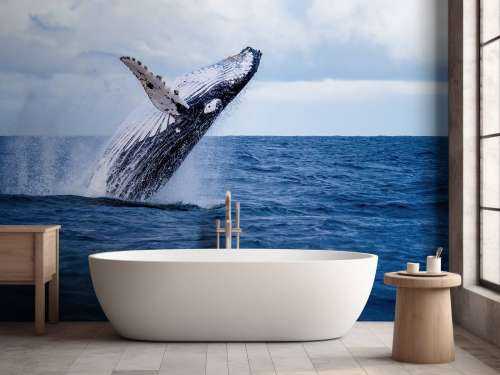 Jumping whale