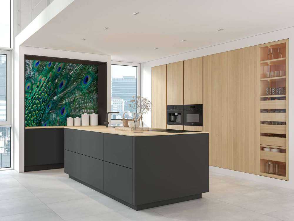 Colored plumage of a peacock