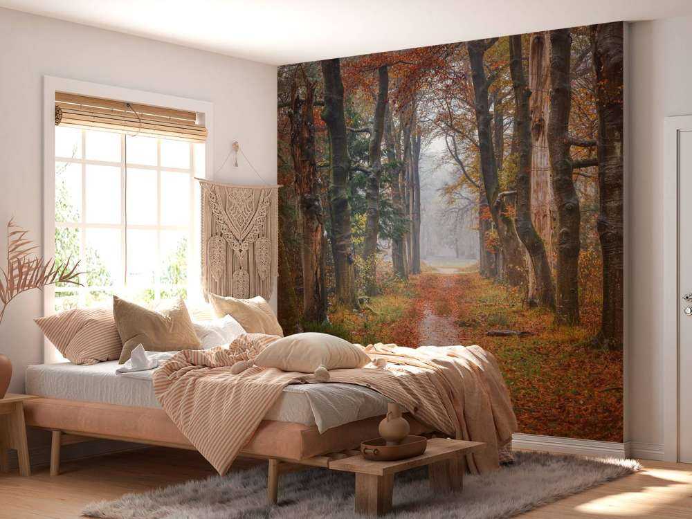 Forest path with old trees