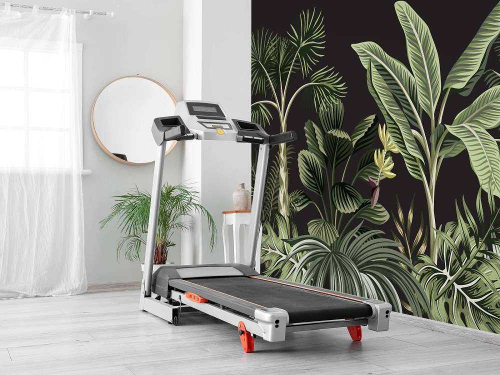 Tropical palm tree on dark background