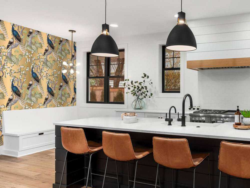 Peacock Whisper in Oasis