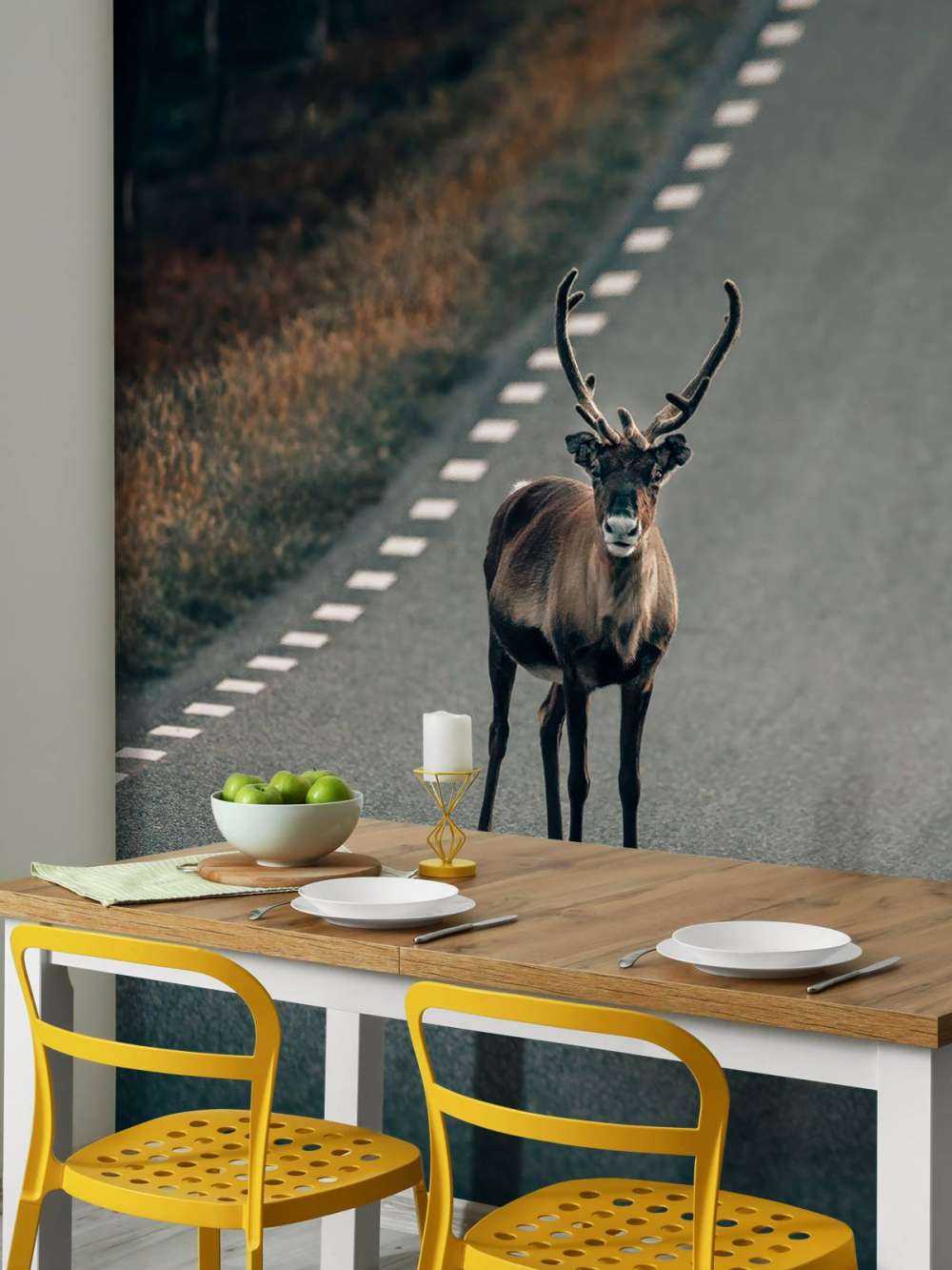 Reindeer on the road