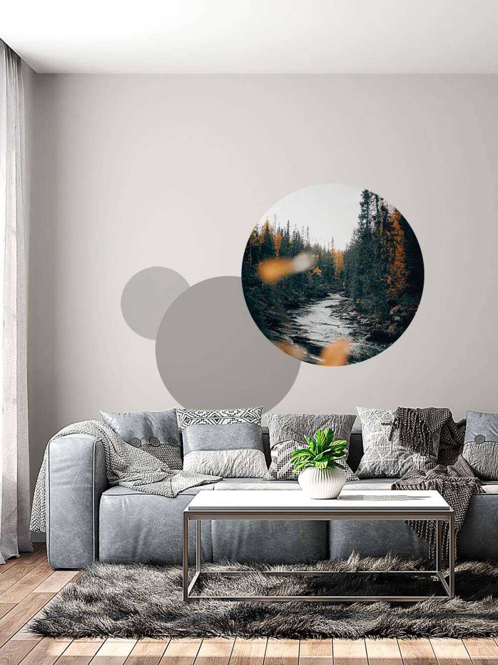 Enchanted autumn forest