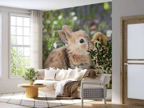 Rabbit and chick