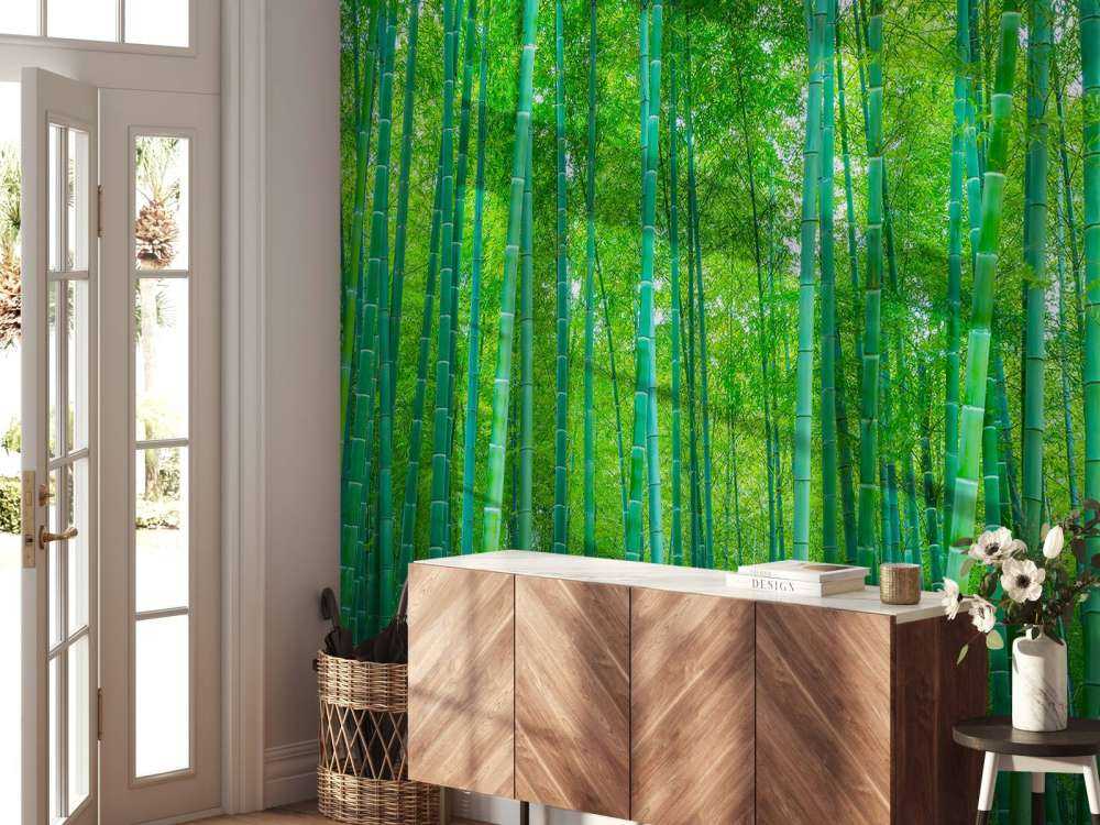 A green bamboo forest