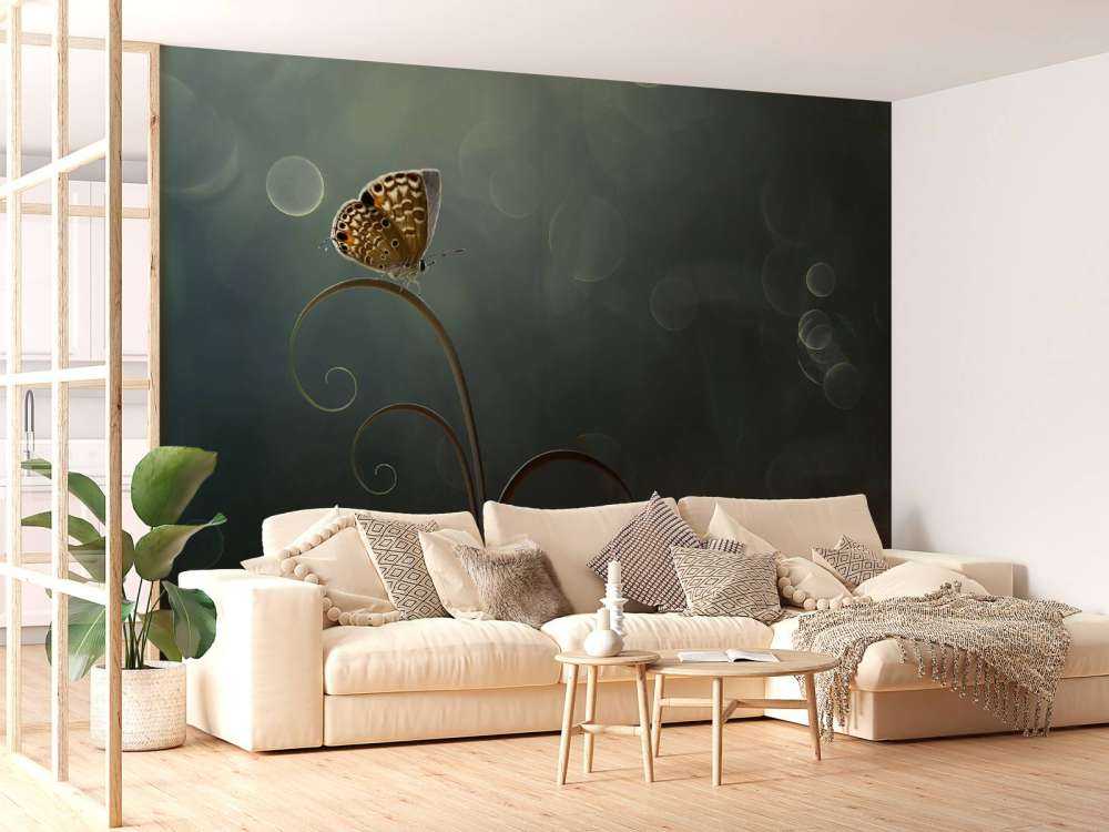 Butterfly in the Morning with Bokeh