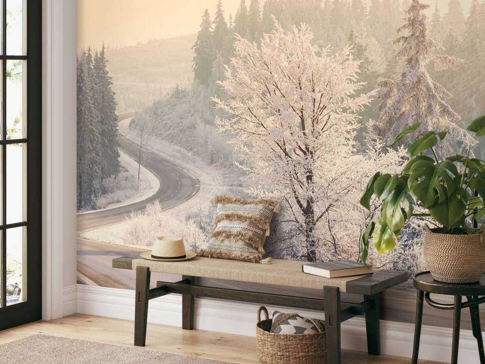 Trees with snow