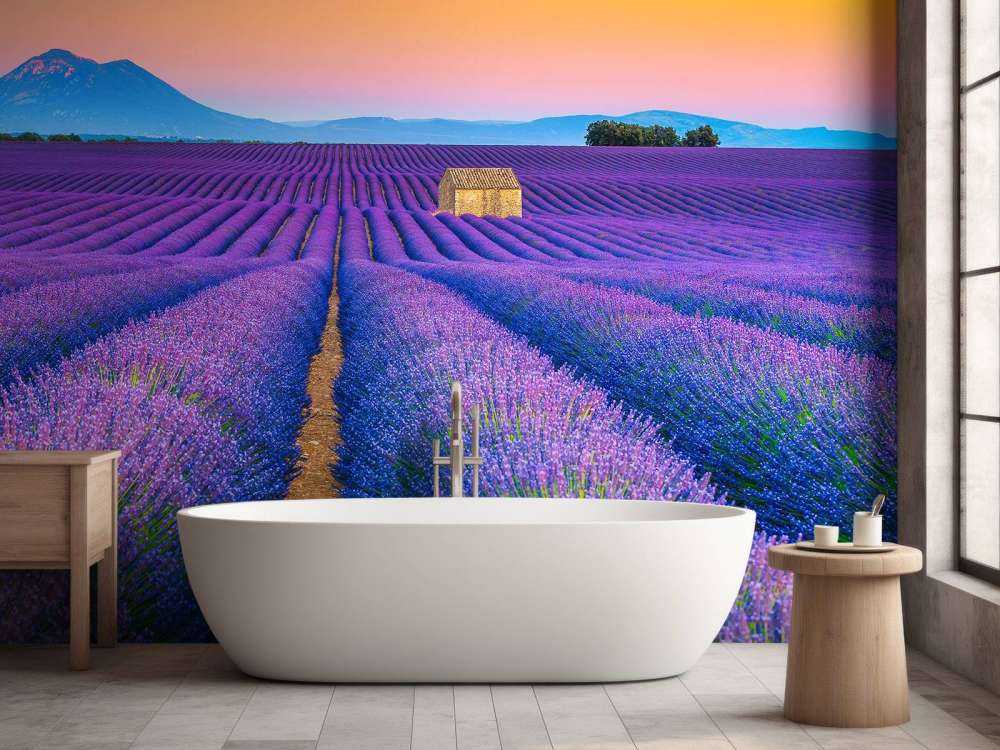 Prachtig bloemenveld van lavendel