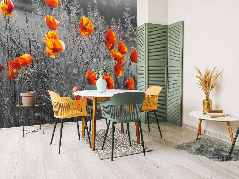 Oranje klaprozen met een zwart-witte achtergrond