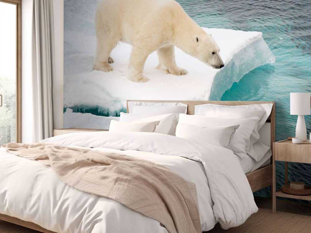 Een ijsbeer observeert de zee