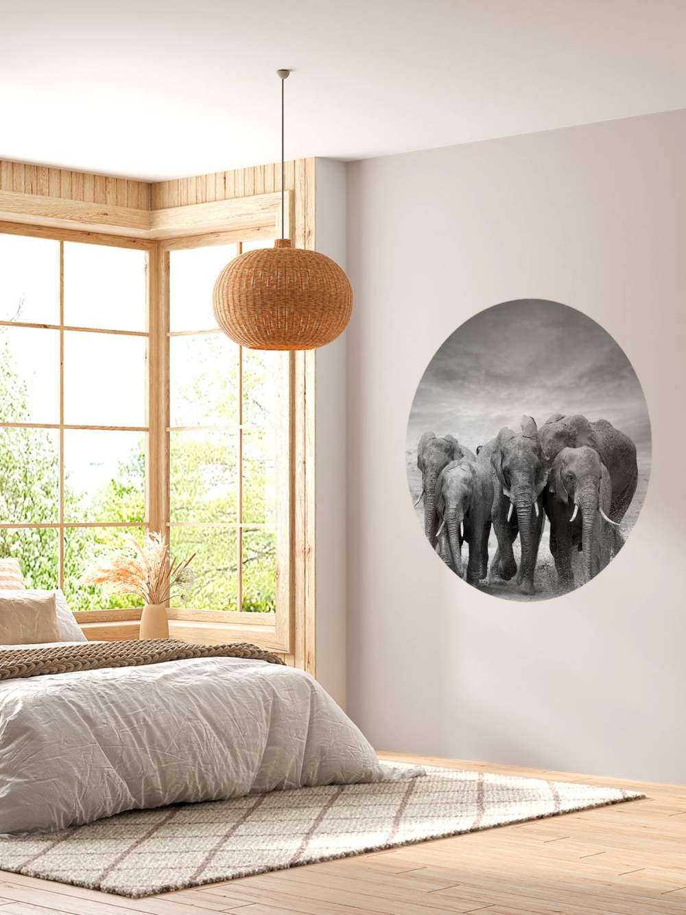 Herd of elephants