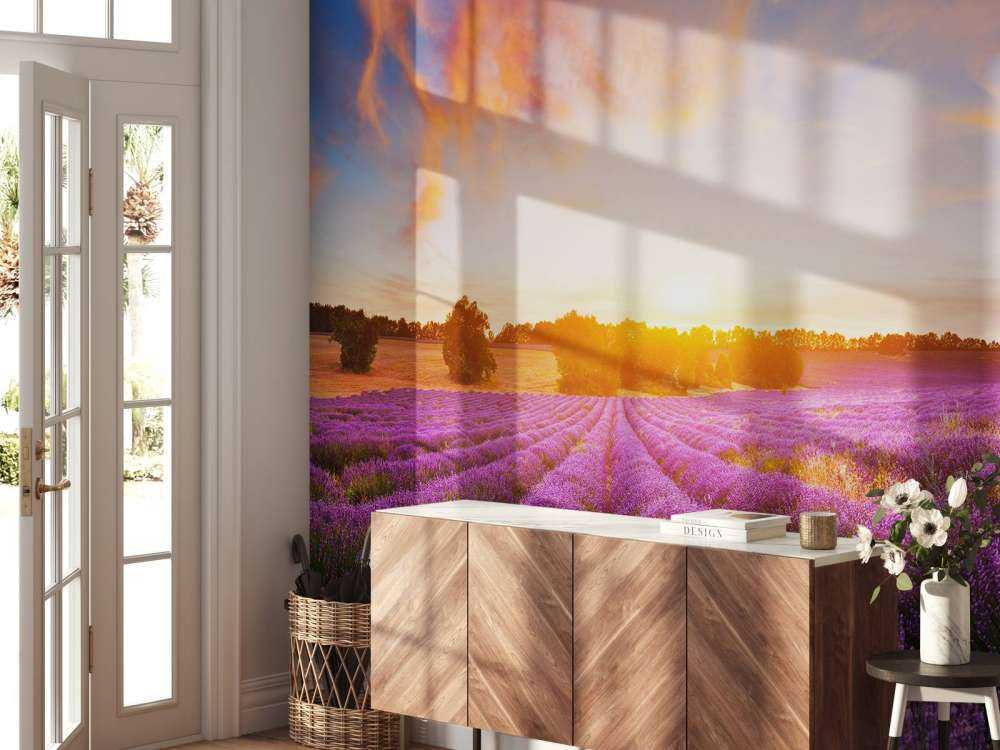 Field of Lavender