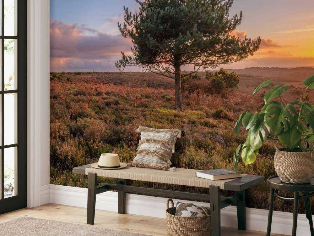 Sunset at a deserted area