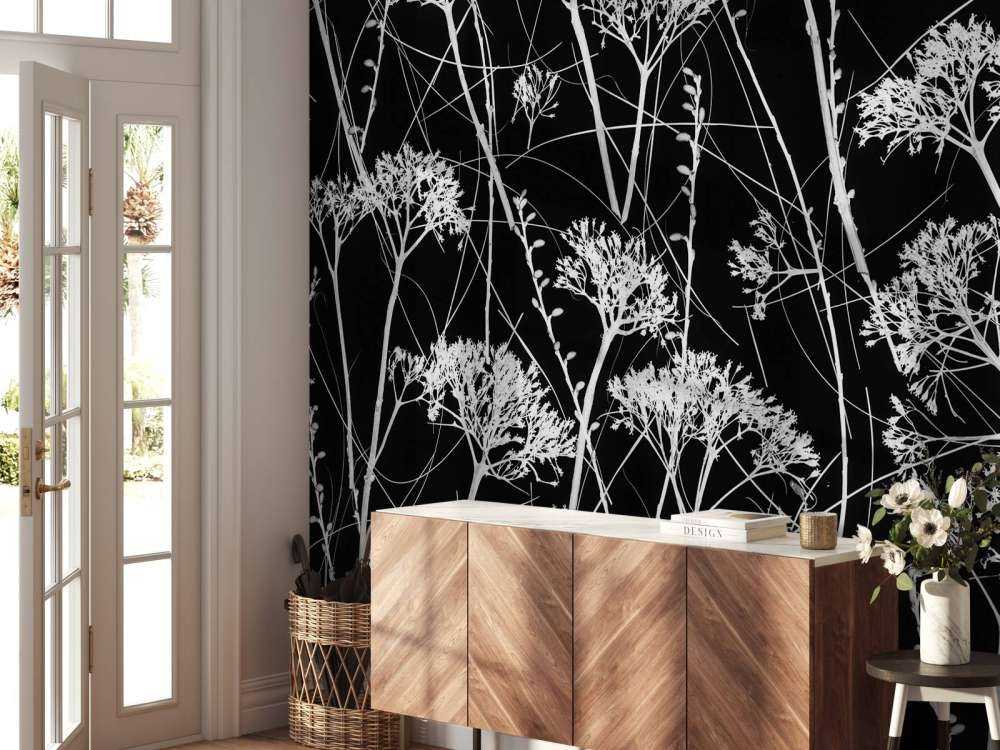 Silhouette of dried plants