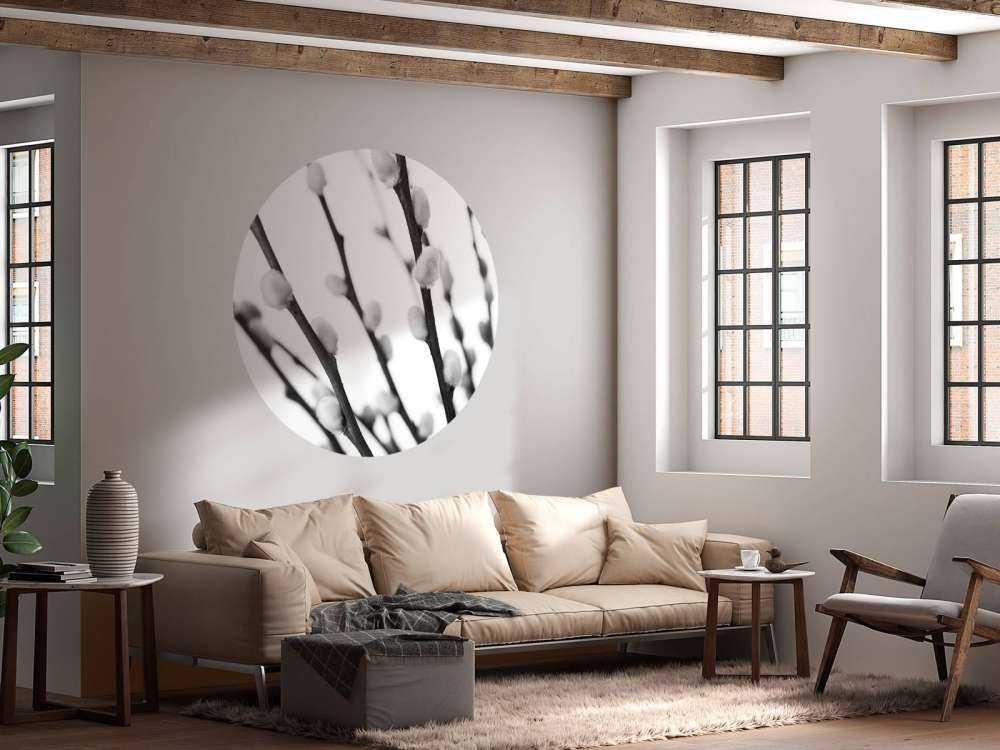 Black and white willow