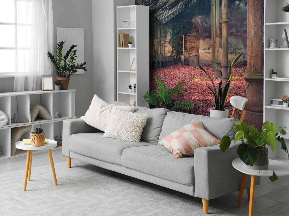 Abandoned house with leaves