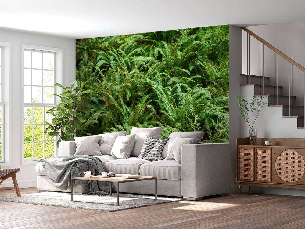 Green ferns