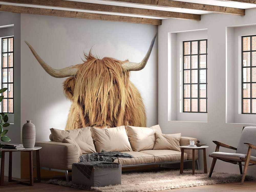 Close-up of a Scottish Highlander